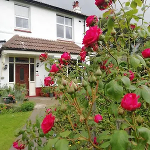 Beechlands Bed & Breakfast